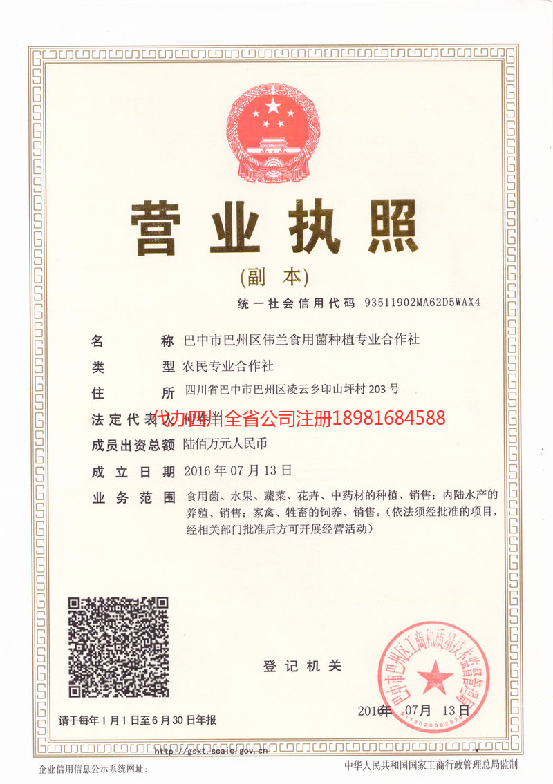 惠州惠州伟兰食用菌种植专业合作社